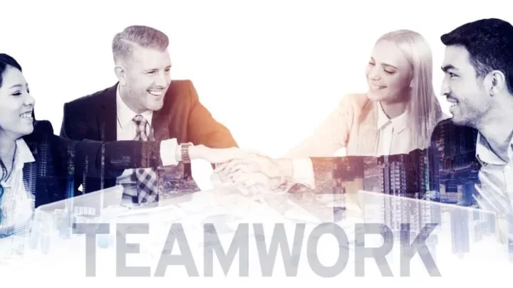 company registration details