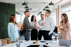 limited liability company india