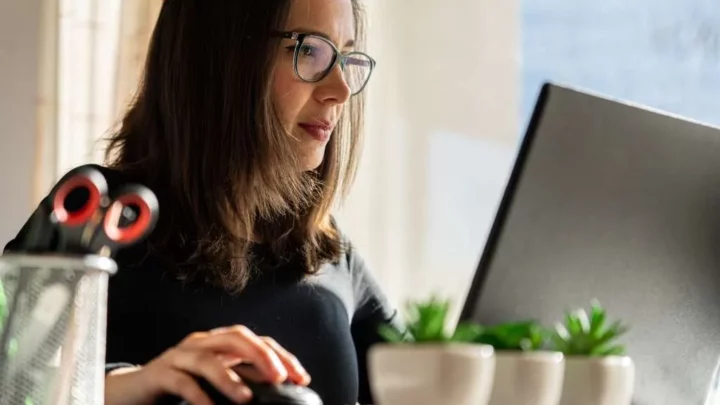 ngo certificate online