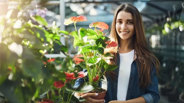 food license in ahmedabad India