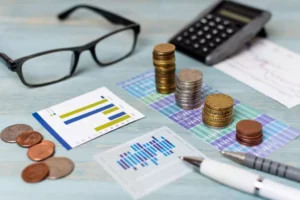 Chartered Accountant Online Dehradun