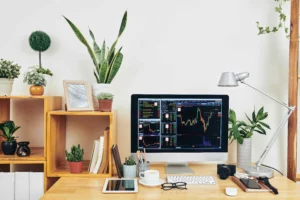 Startup Registration Mangrulpir