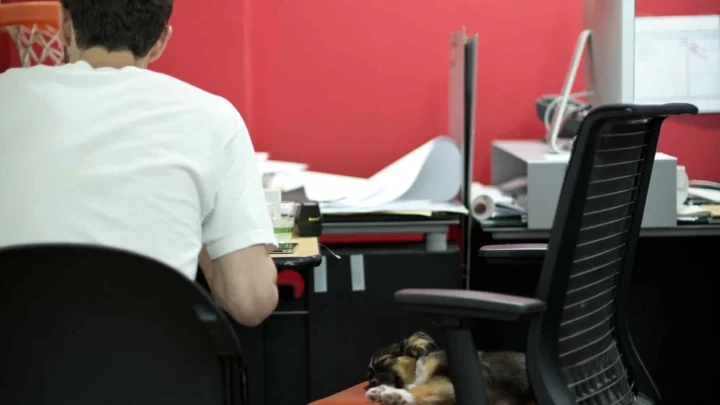 Startup Registration Sirsaganj